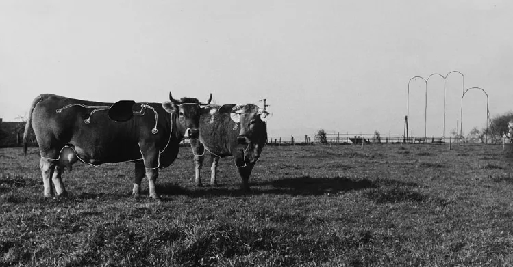 Grazer Schule_Konrad Frey_Bild 65