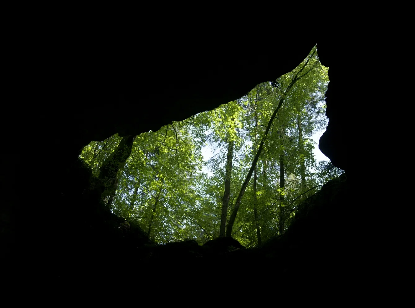 05.jpg
