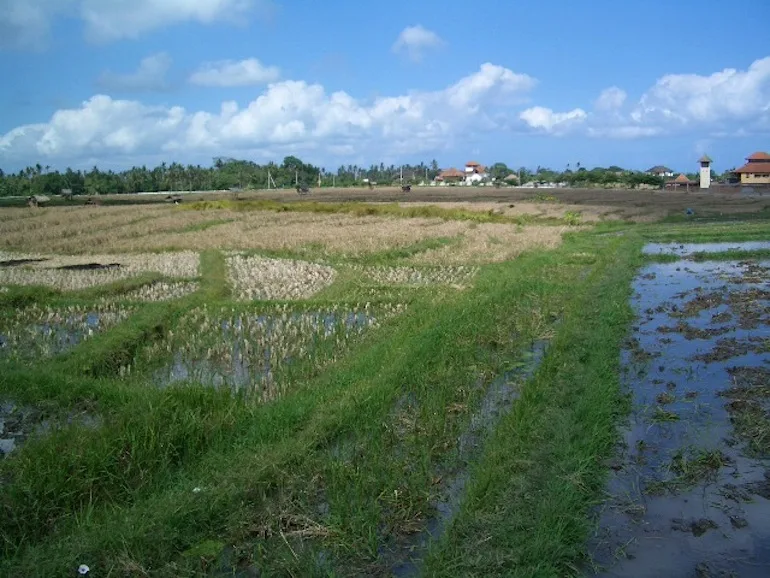 03_desa seni