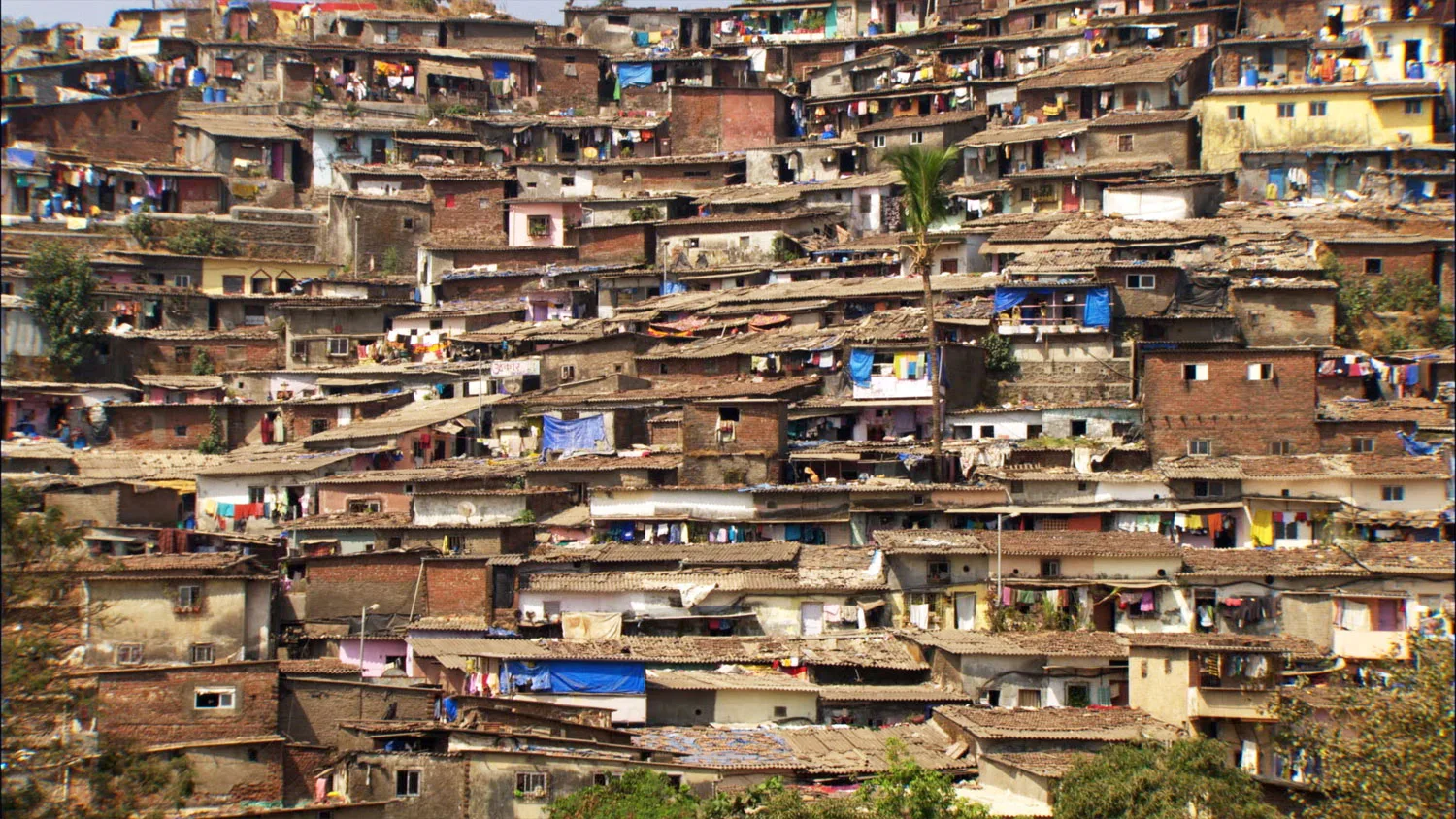 population_boom-3