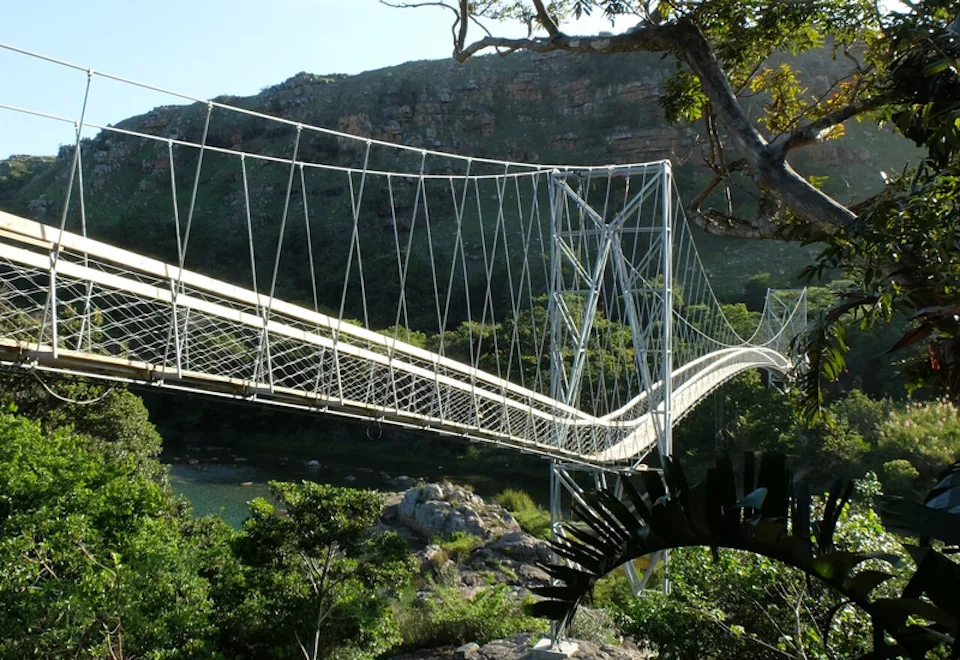 Eine Brücke für das Leben