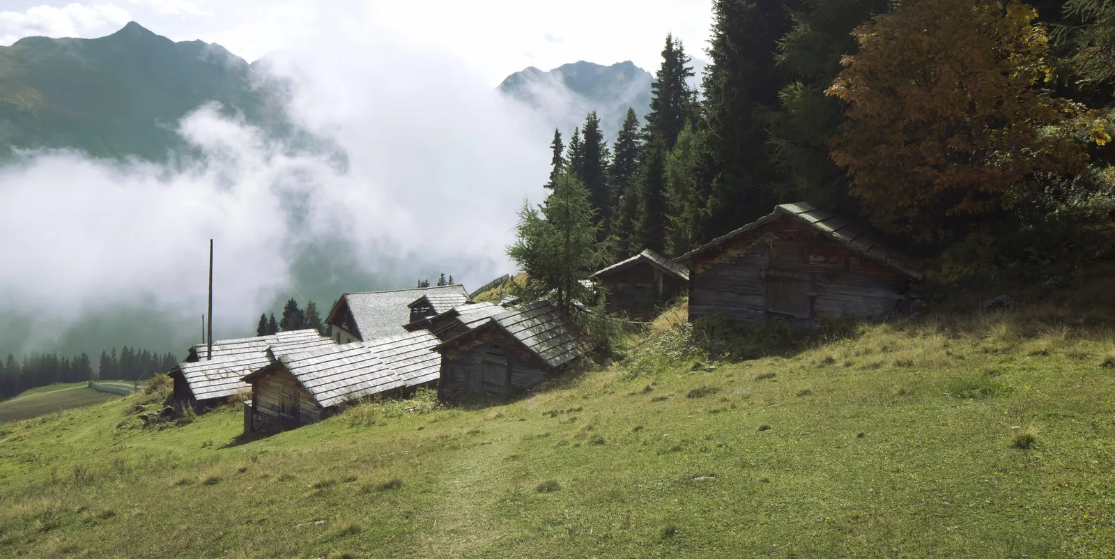 © Bettina Neubauer-Pregl _c_bettina_neubauer-pregl.jpg