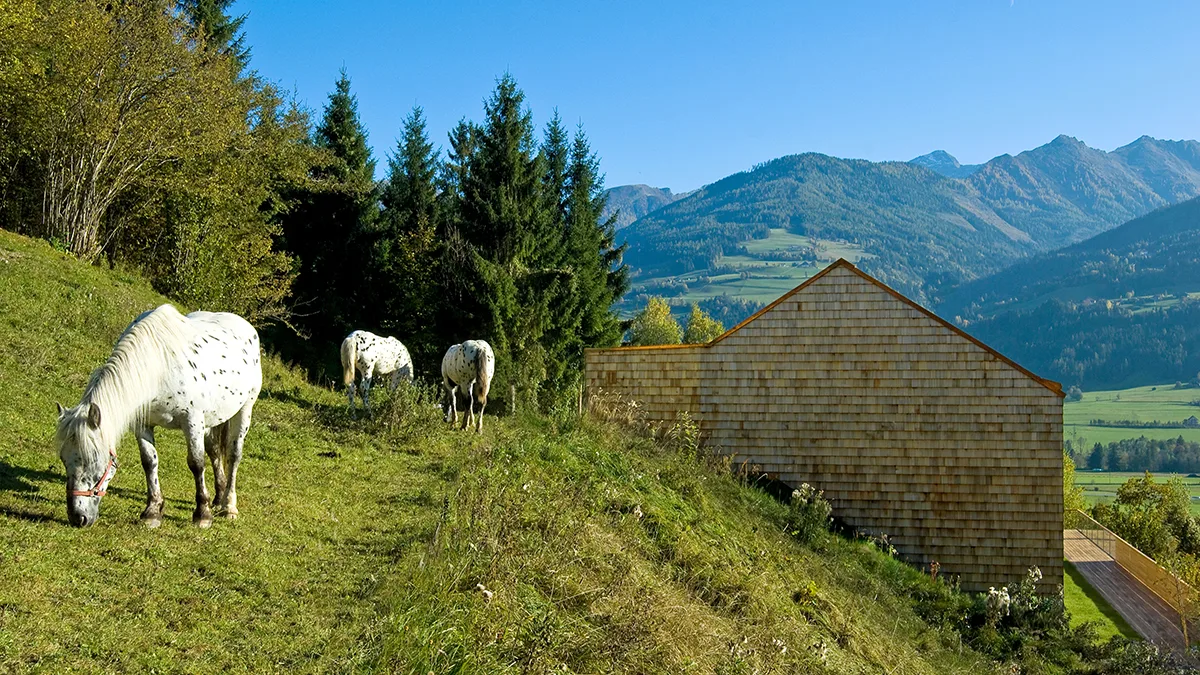 01_ansicht_nord.jpg