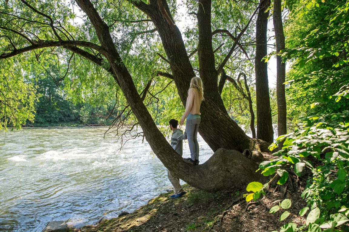 naturschutzgebiet_weinzodl_rechtes_ufer_1_windisch.jpg