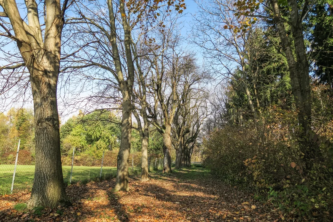 naturschutzgebiet_weinzodl_2_windisch.jpg