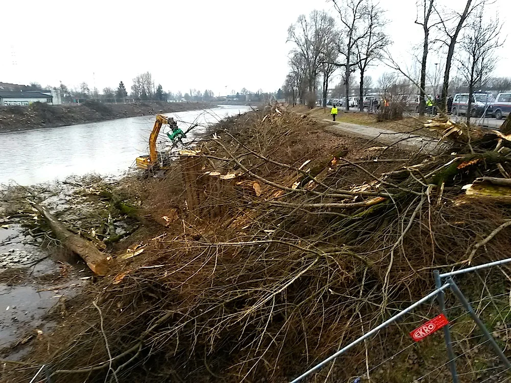 © Karin Tschavgova Baumschlägerungen_Puntigam_8.2.2017