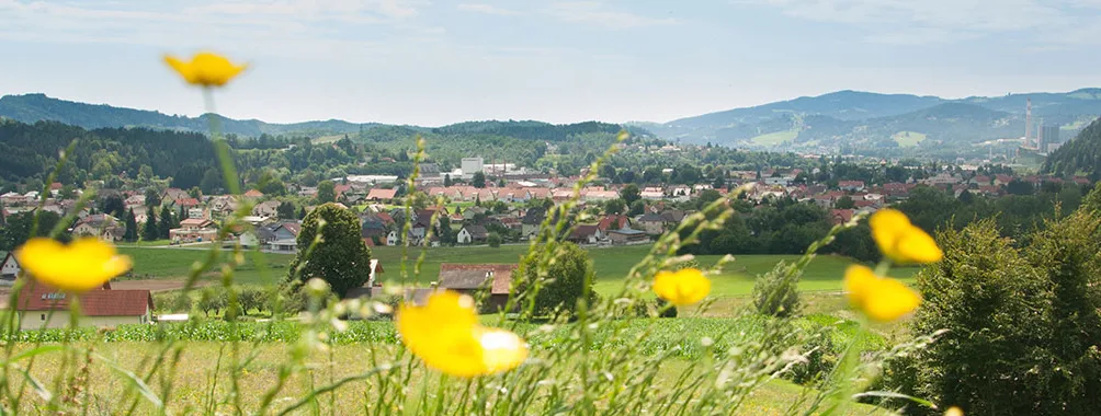 bildschirmfoto_2017-04-05_um_12.43.18.png