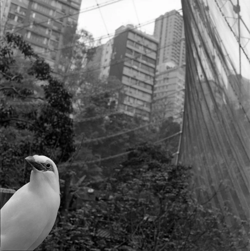 freiflughalle_hong_kong
