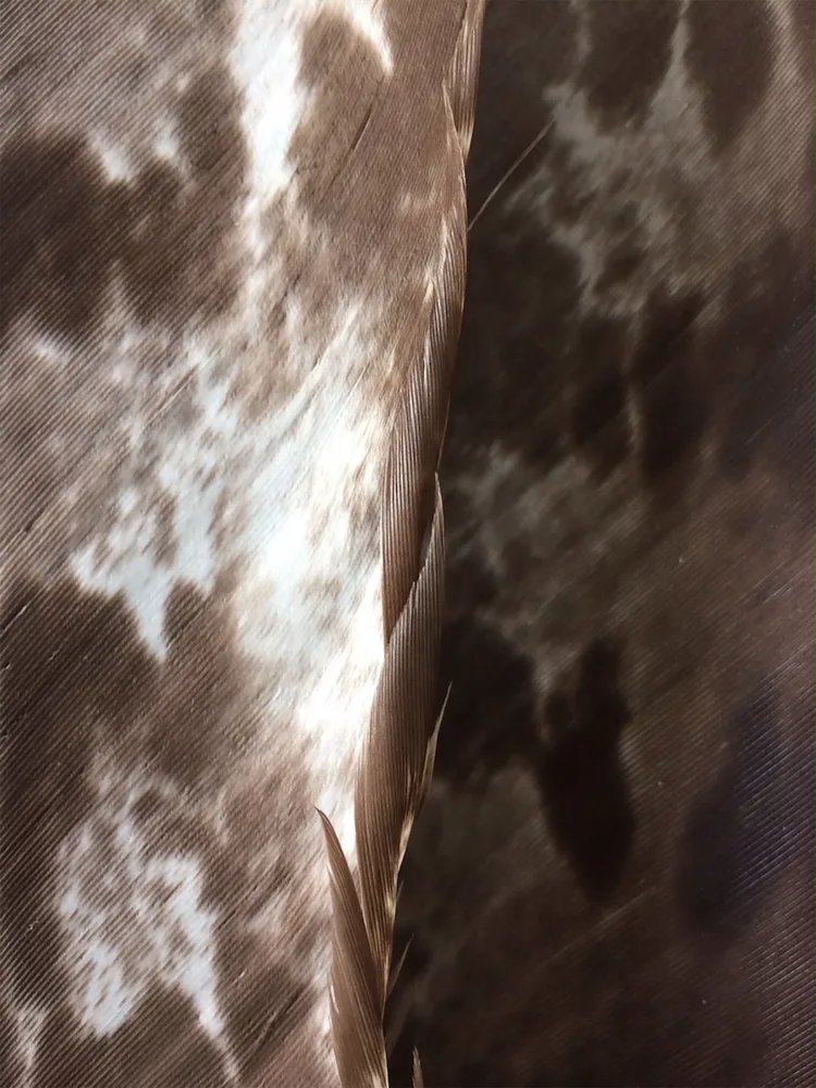 prometeus_.png