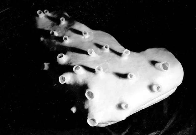 © Kunsthaus Graz 12_marcos_cruz_latex_modell_der_skin_mit_nozzles_0dde43c300.jpg
