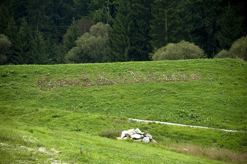 1_wilfling_2009.jpg