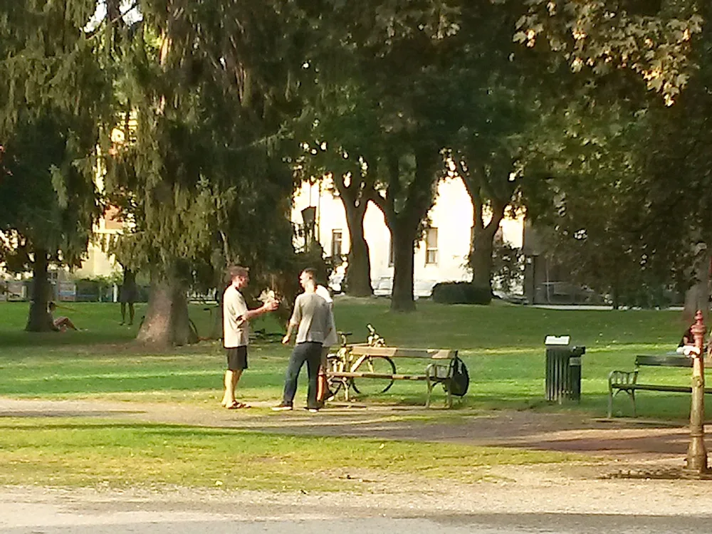 20180802_184846.jpg