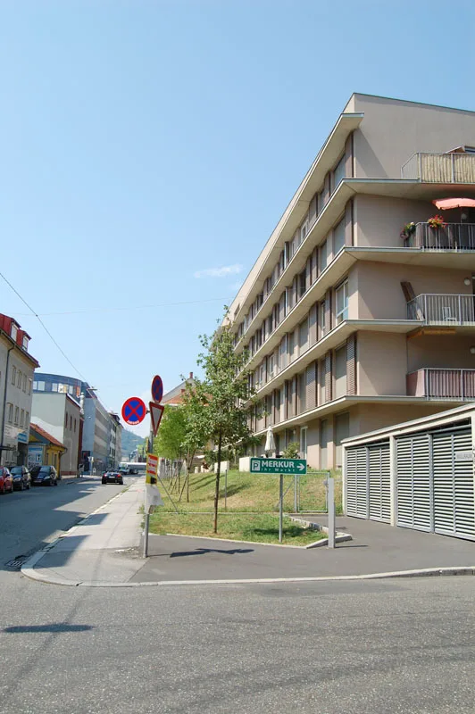 bild_1_baume_vor_wohnbau_anna_luise.jpg