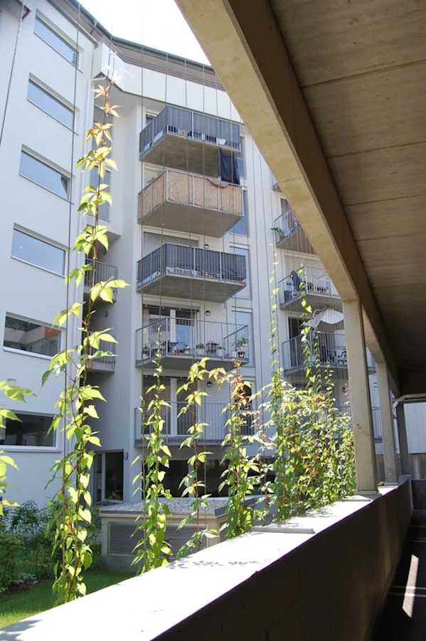 04_zweierlei_gestank_tgluftung_und_parkdeck.jpg