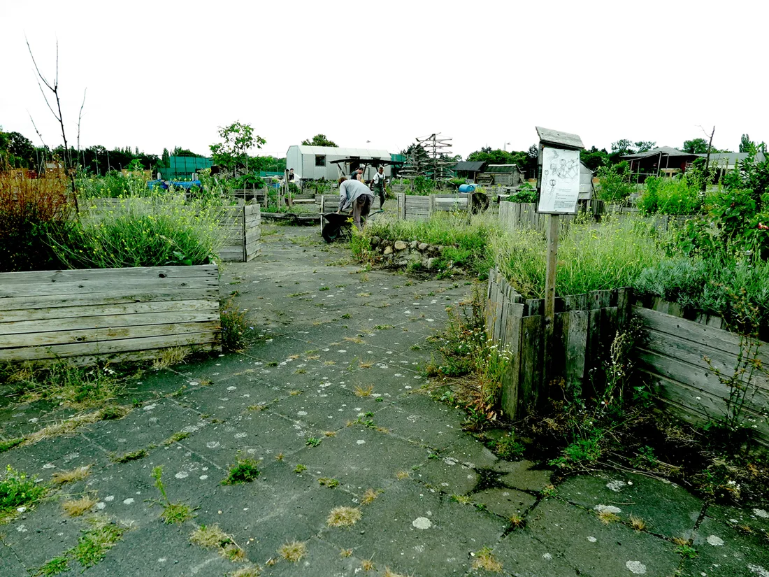 13-tempelhof-gardening.jpg