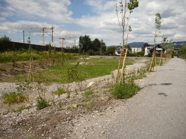 dornbirn.jpg