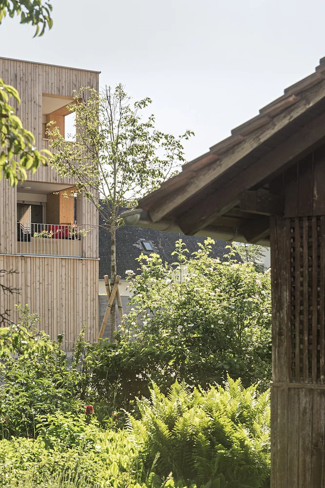 wohnsiedlung_maierhof._foto_hertha_hurnaus.jpg