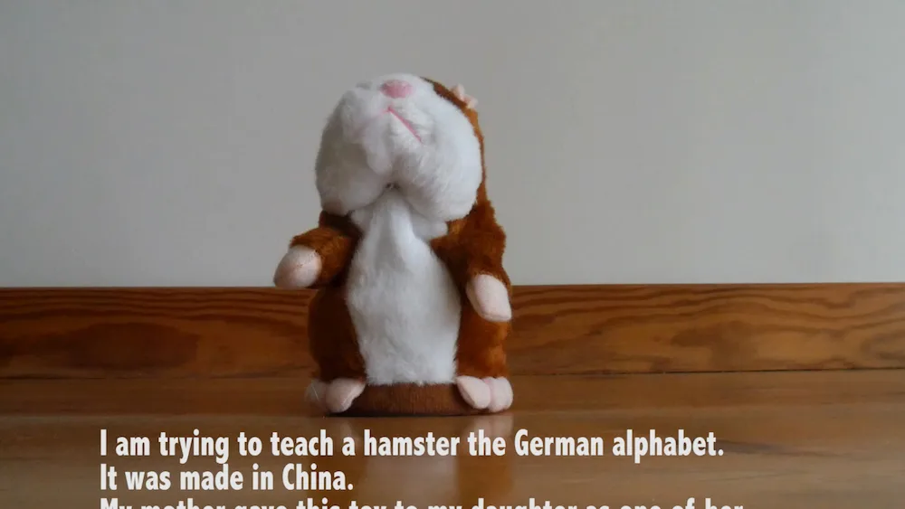 filmstill-tothova-hamster.jpg