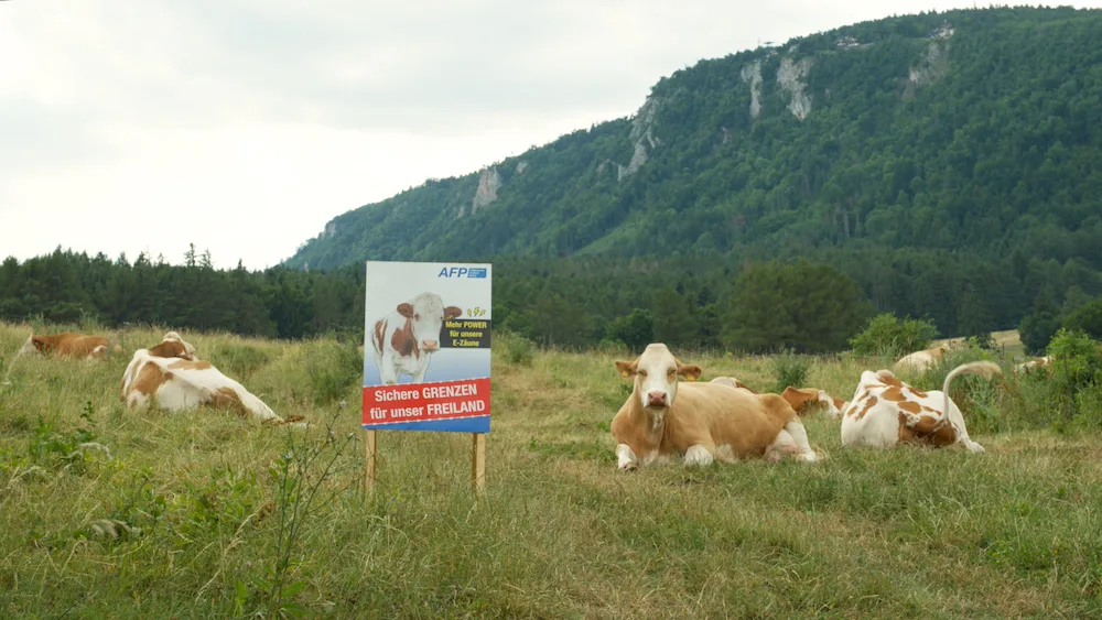 filmstill-haider-freiland_.jpg