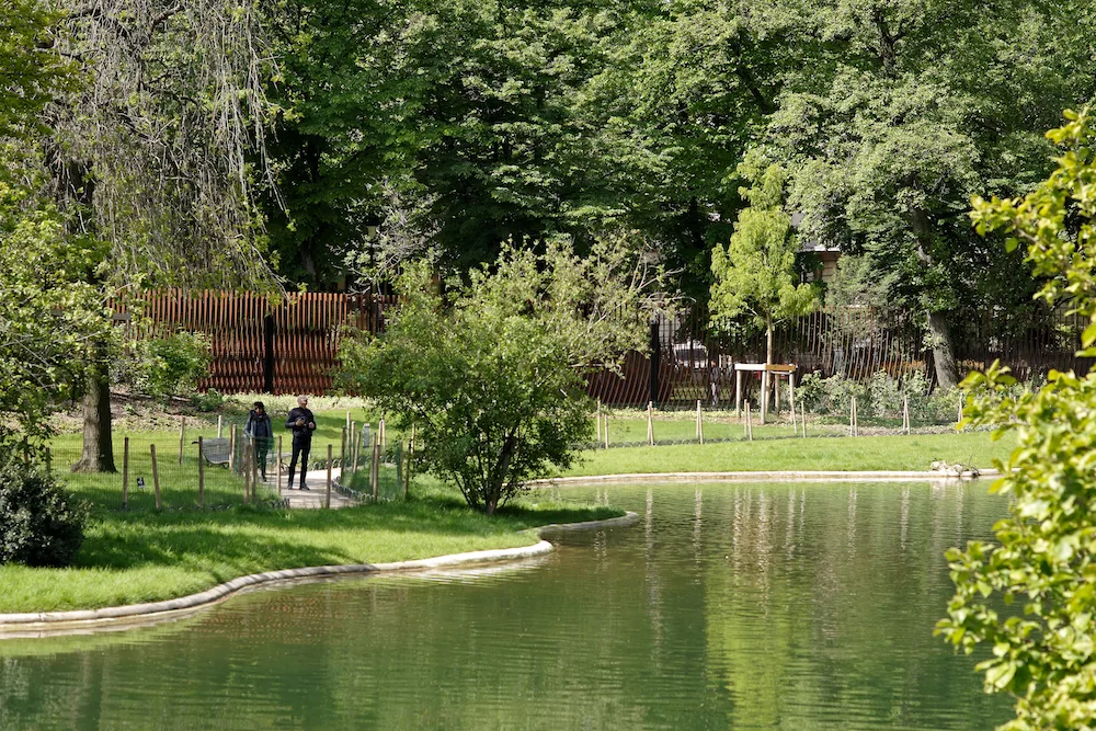© David Boureau 03_david_boureau_garden_and_fence.jpg
