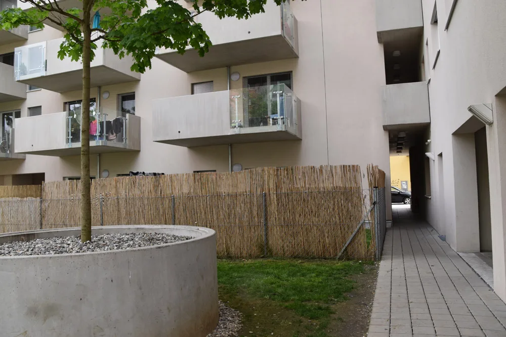 © Elisabeth Kabelis-Lechner bild_5_parterrewohnung_idlhofgasse_40_.jpeg
