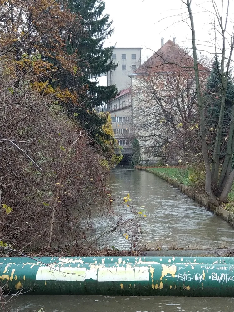 1_muehlgang_und_muehle.jpeg