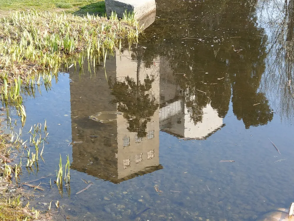 03-spiegelung_der_muehle_im_teich.jpg