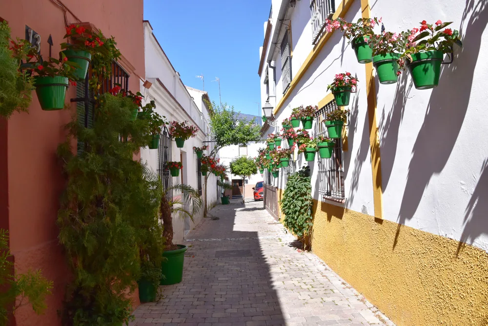 © Elisabeth Kabelis-Lechner bild_5-_estepona.jpg