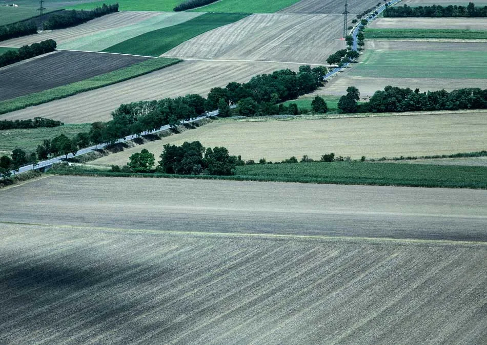 10_konsequenz_c_emil_gruber.jpg