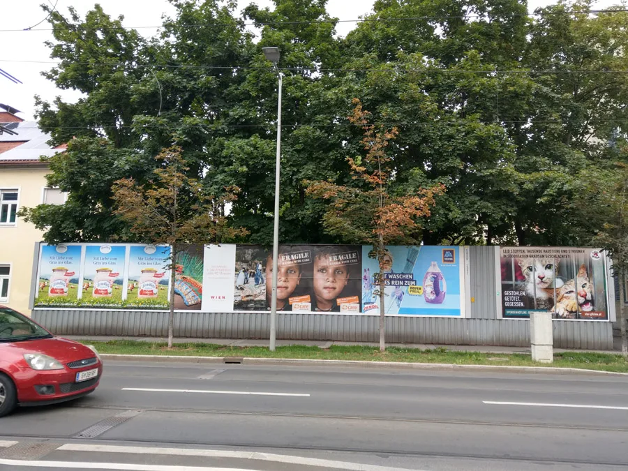 bild_2_baeume_eggenbergeralle.jpg