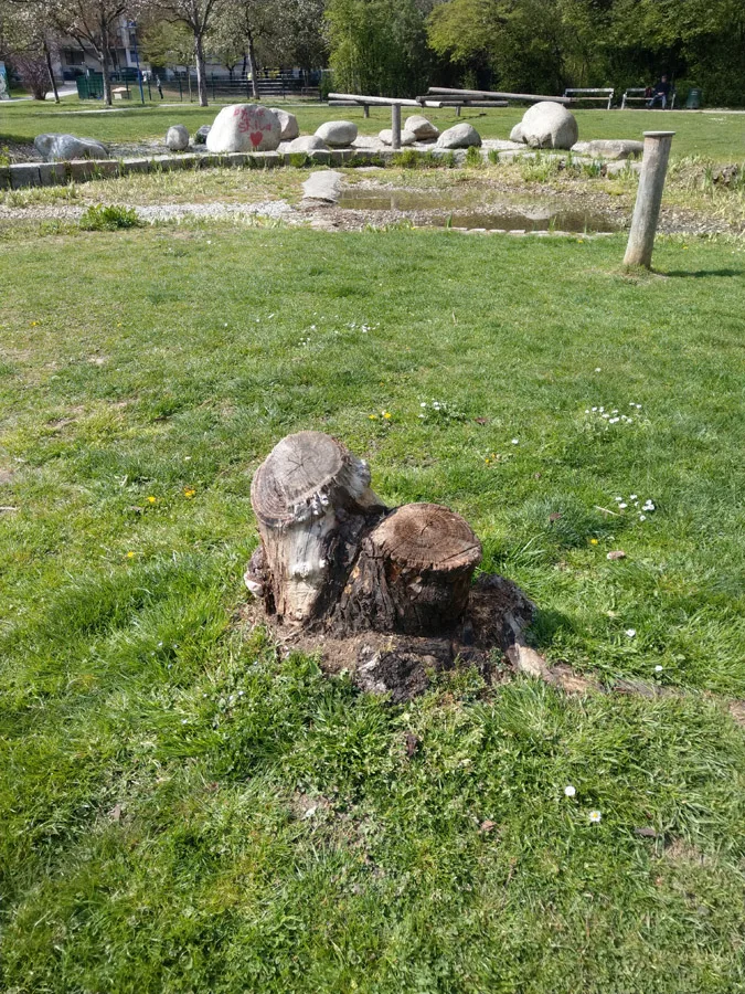 3_aeltere_baumschlaegerung_oeverseepark.jpeg