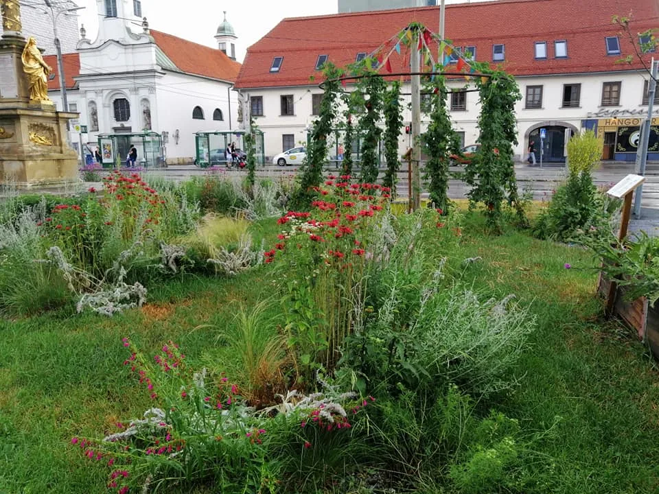 bild_4_gries_gruent_projekt_hopfenlaube_und_staudenbeete.jpg