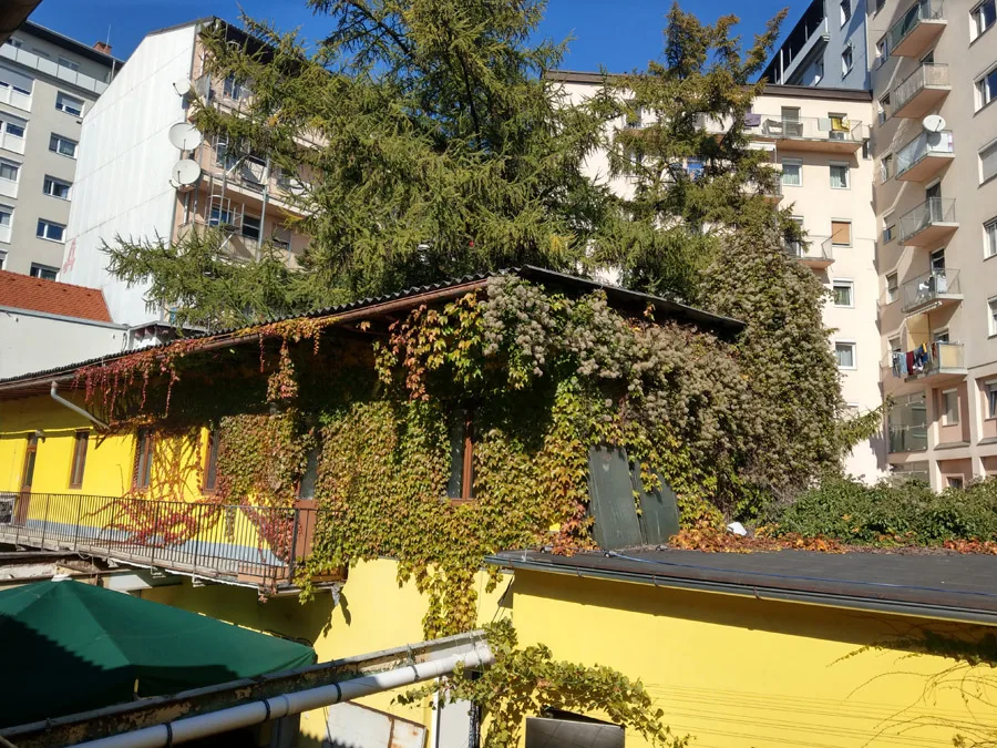 bild_4_hof_haus_lazarettg_5_mit_blick_zum_angrenzenden_eck-hochhaus.jpg