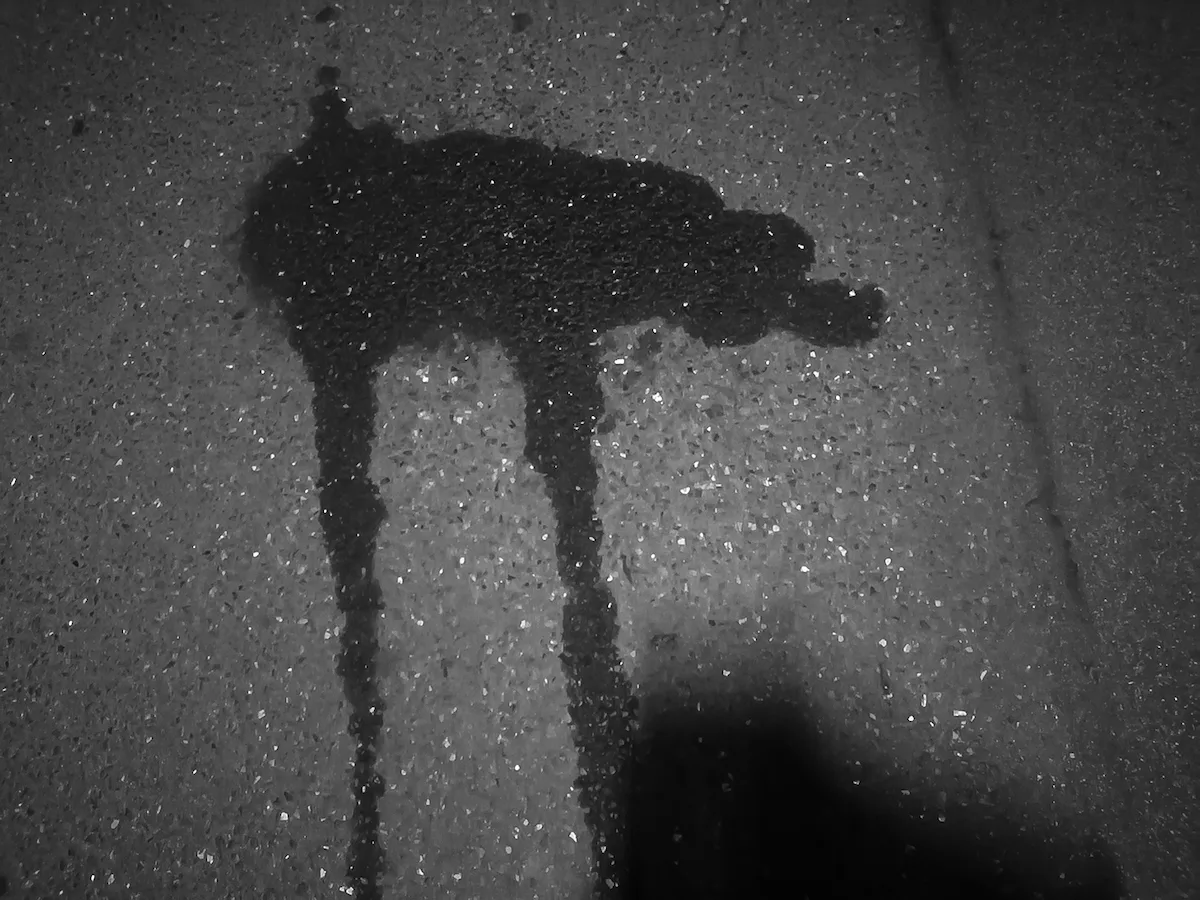 © Severin Hirsch kuschelmonster.jpg