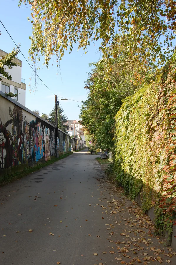 1_niesenbergergasse_vor_der_verbauung.jpg