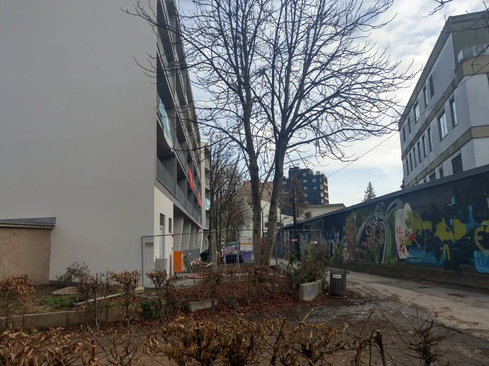 5_niesenbergergasse_mit_neubau_laut_bebauungsplan.jpg