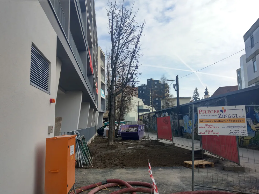 6_bestehende_baumestanden_dem_neubau_im_wege_und_mussten_zugeschnitten_werden.jpg