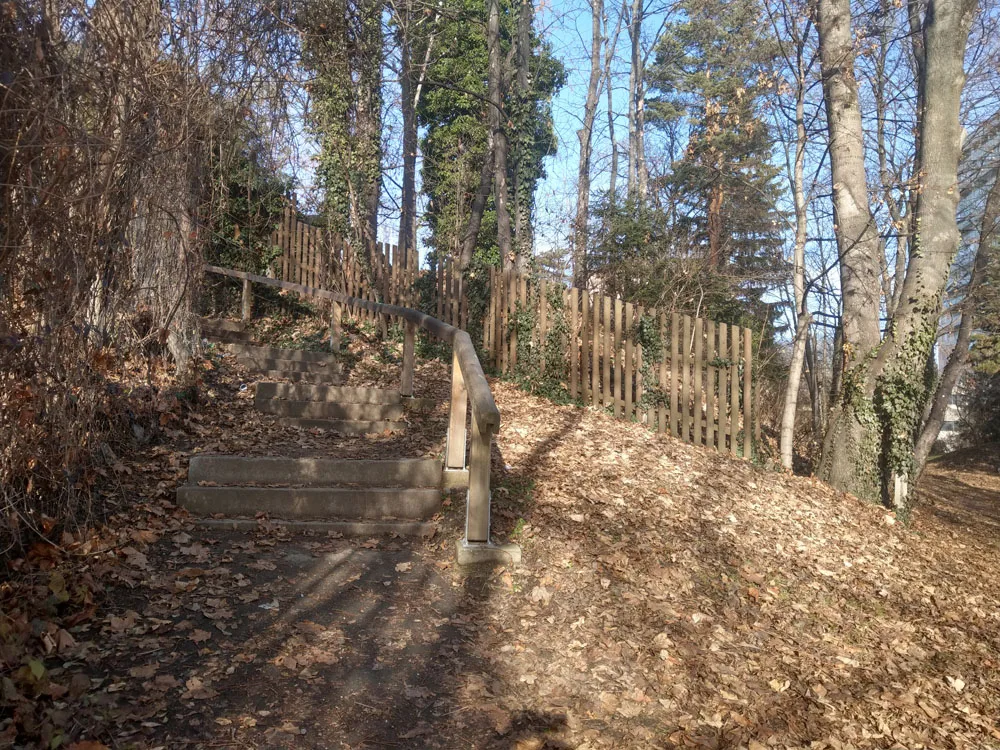 bild_3_der_grasweg-ein_geheimnisvoller_weg.jpg