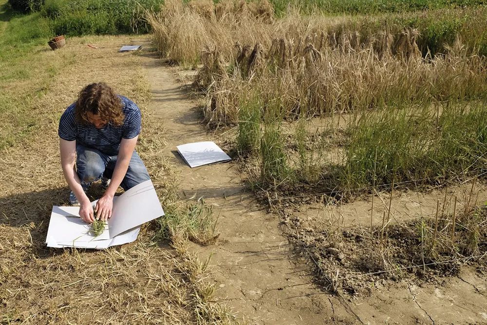 1_resanita_sergey_kishchenko_observation_journal_2015_mettersdorf_bei_stainz_cresanita_medium_.jpg