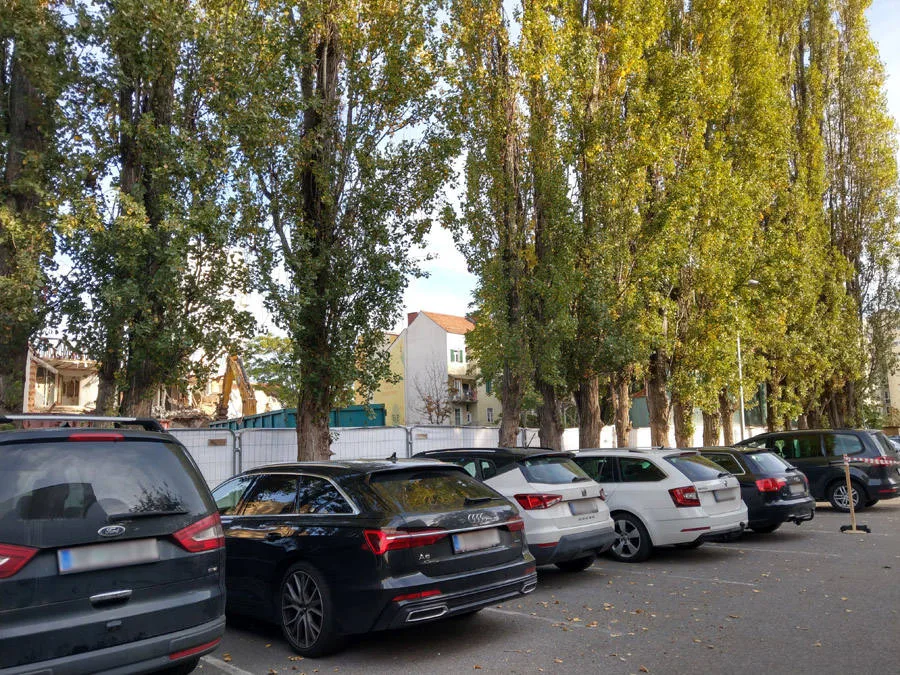 GBG Grundstück Idlhofgasse 23 Pappeln 02