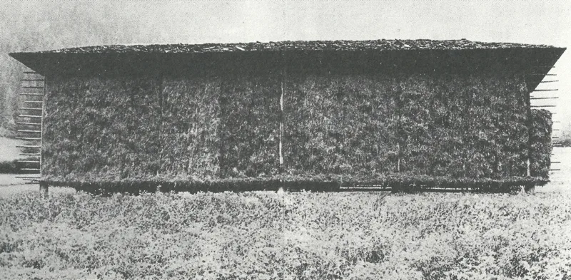 Raimund Abraham, Elementare Architektur