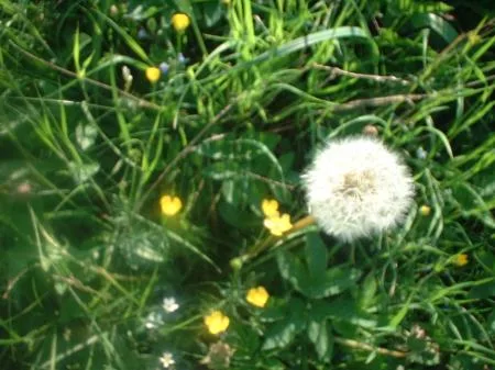 030607_image3.jpg