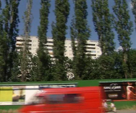 grazland05.jpg