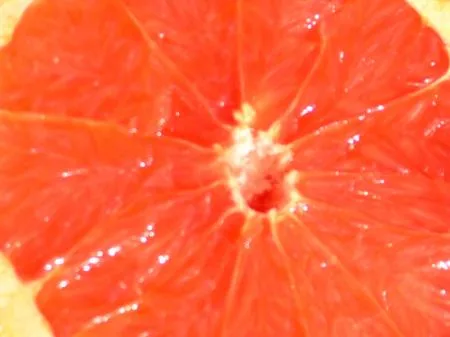 dscn1715.jpg