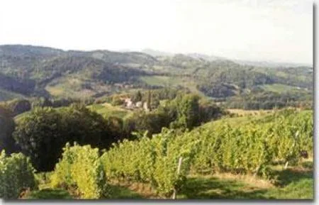 sdsteiermark_01.jpg