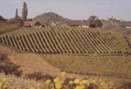 sdsteiermark_02.jpg
