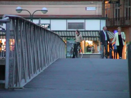 hauptbrcke84.jpg
