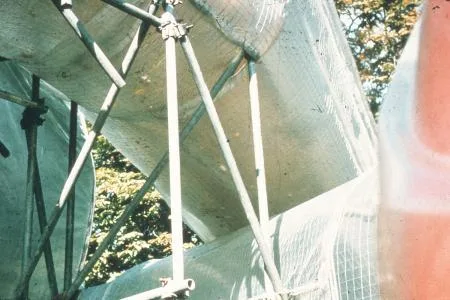 02_trigon67.jpg