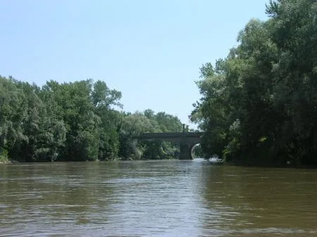 dscn2907.jpg