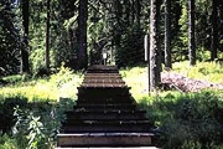 walddom4_k.jpg